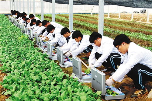 農(nóng)大溫情畢業(yè)禮 萬(wàn)斤水果贈(zèng)學(xué)子，暖心與專業(yè)技能并重