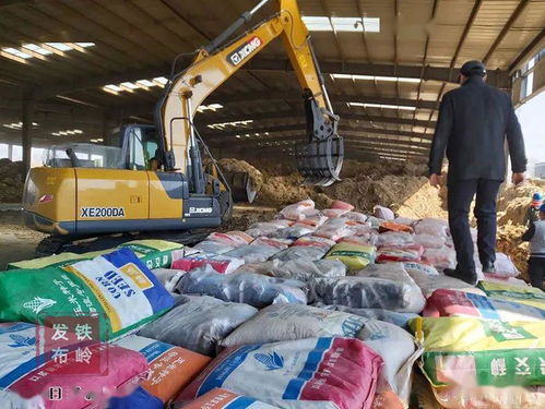 我市集中銷毀8萬斤假劣種子，強(qiáng)化農(nóng)作物種子市場(chǎng)監(jiān)管