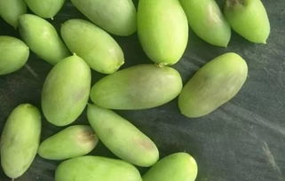 植保科技助力農業(yè)發(fā)展，特色產業(yè)推動鄉(xiāng)村振興